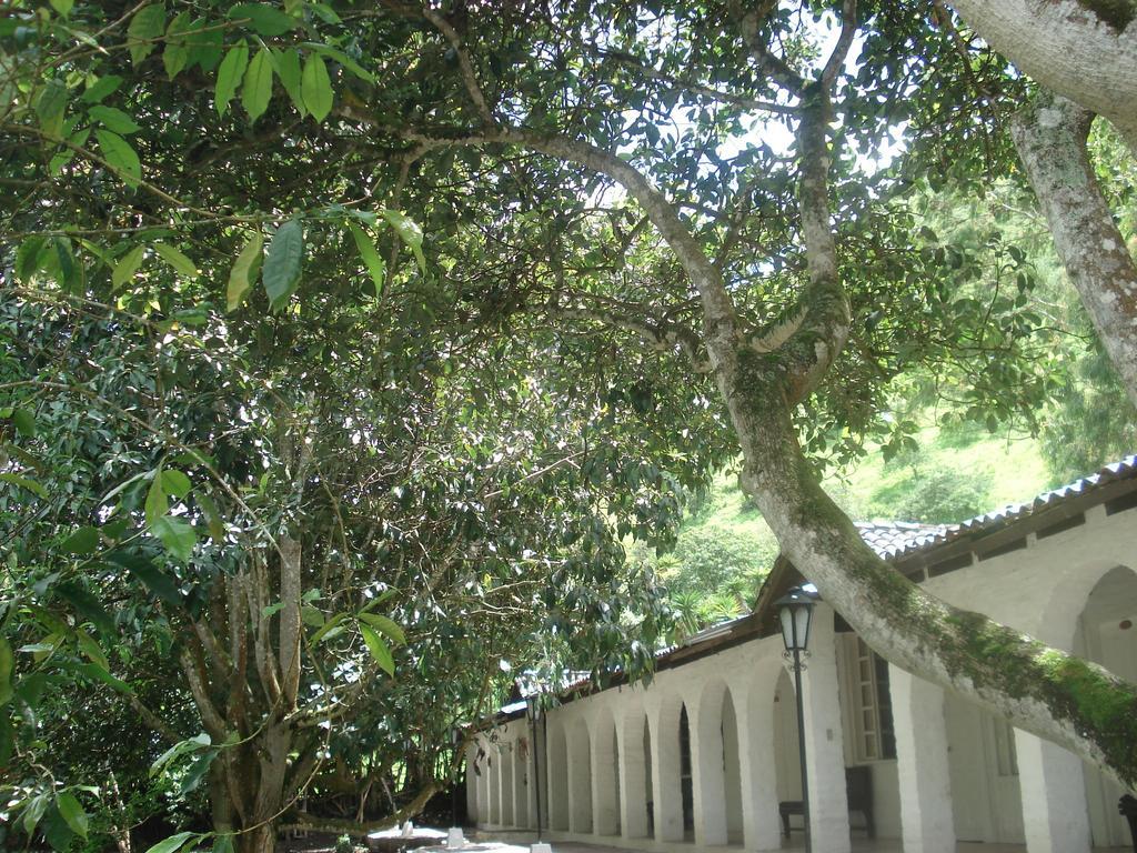 Hosteria La Eterna Primavera Huigra Kültér fotó